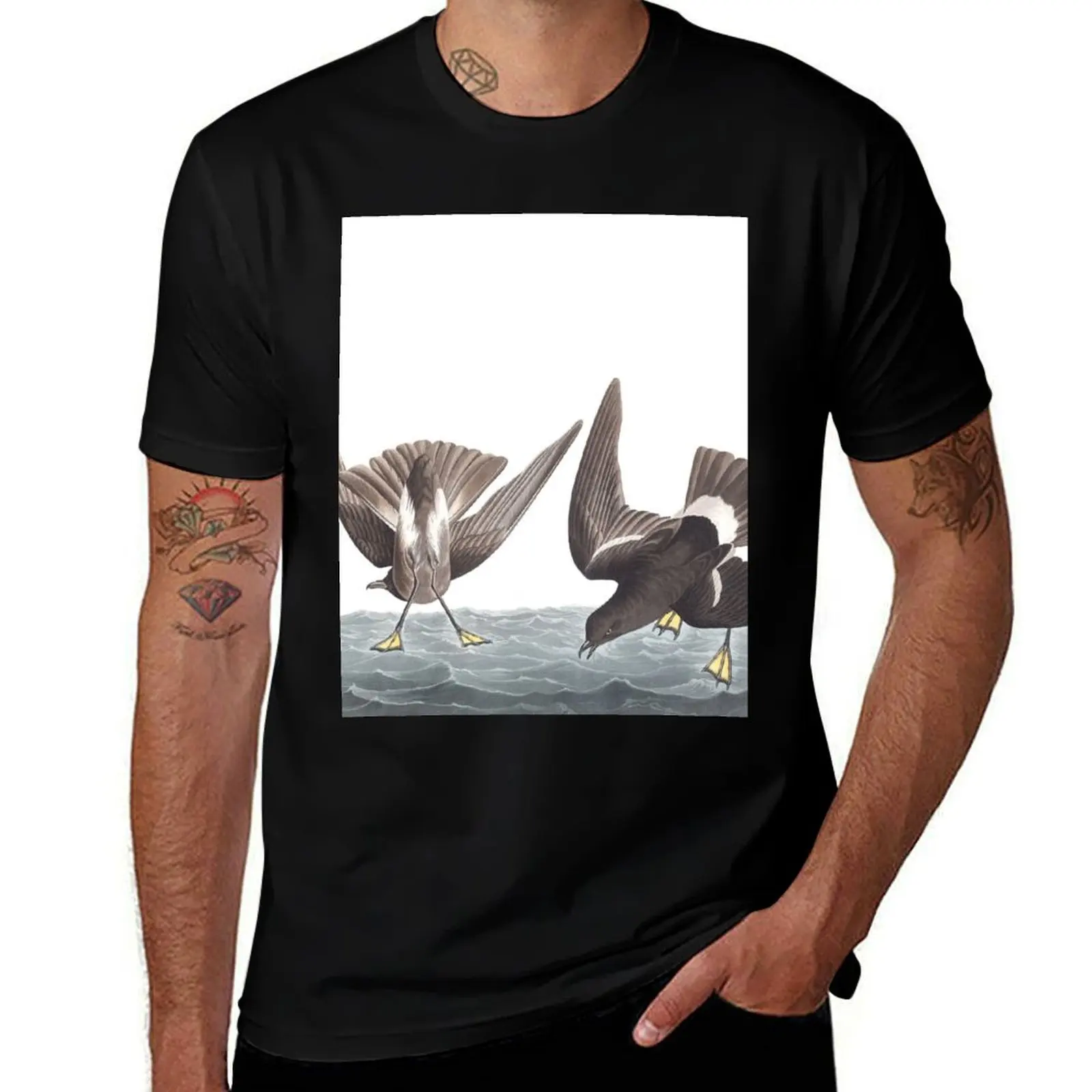 

Wilson's Storm-Petrel - John James Audubon T-Shirt Luxury man luxury t-shirt new edition tops black t-shirts for men