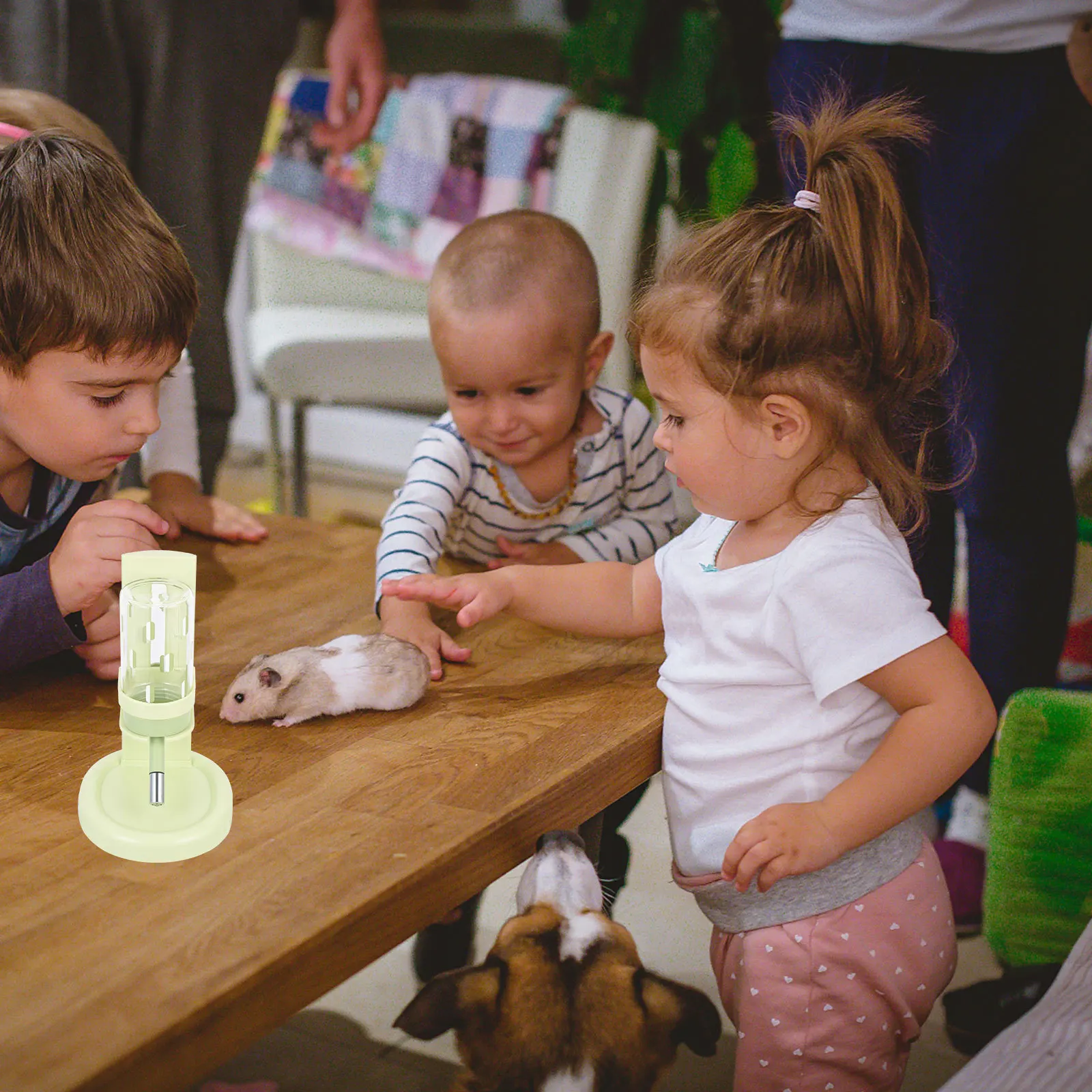 

Water Bottle Pet Hamster Hamsters for with Holder Stand Small Animal Multi-functional Feeder