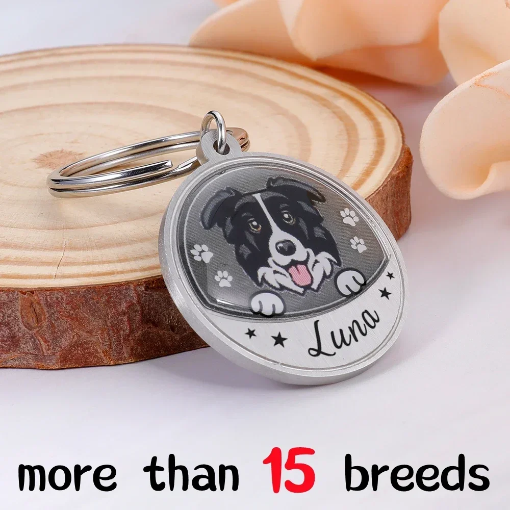 Personalized Pet ID Tags Custom Name Free Engraving Dog ID Collars For Puppy Dog Tag Collar Nameplate Anti-lost Accessories