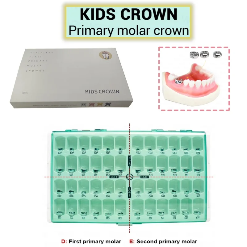 

48Pcs/Box Stainless Steel Dental Kid Crowns Preformed Metal Crown Temporary Crowns Dentistry Orthodontic Crown Therapy Tools