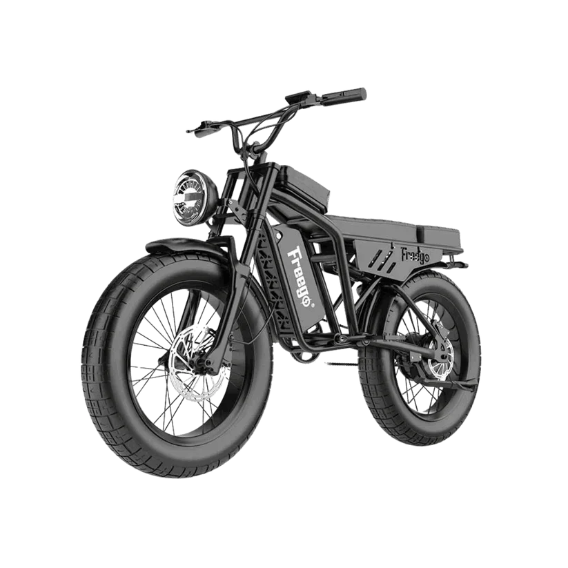 

FREEGO F0 Electric Bike for Adults 20 Inch Fat Tire Off Road E-Bike 48V10.4AH lithium Battery Powerful Mountain Electric Bicycle