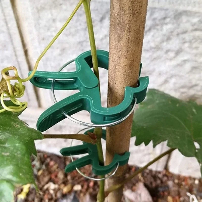 

10pcs Plant Clips 2 Sizes Adjusting Garden Reusable Climbing Supports for Fixing Stems of Flower Vine Vegetables Tomatoes Fasten