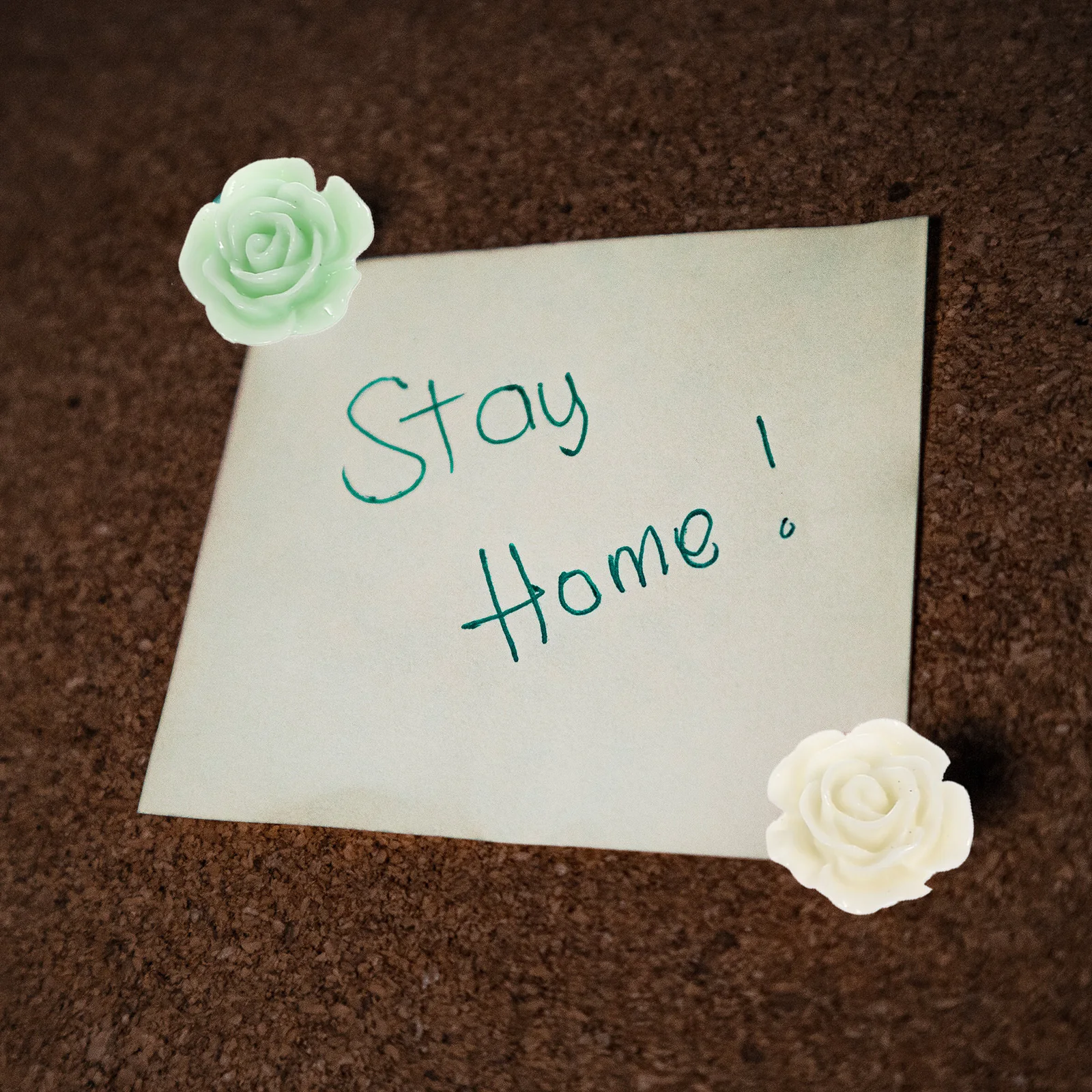 

30Pcs Flower Shape Push Pins Multi-Function Thumbtacks Resin Iron Map Supplies Practical Fixer Home Accessory