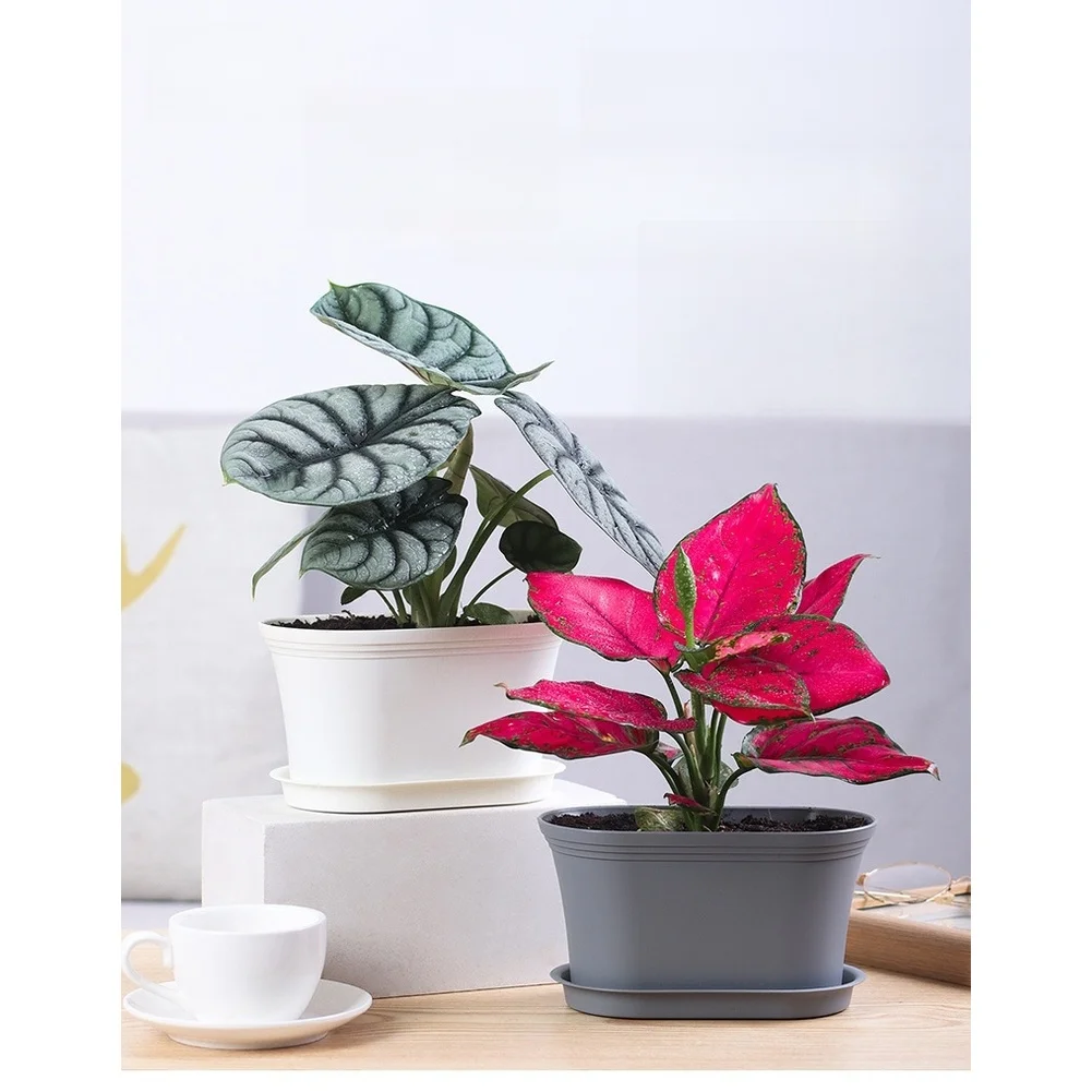 Breathable Plastic Flower Container with Deep Water Catching Tray 18.4x9.8x10cm Self Watering for Home Office Plants