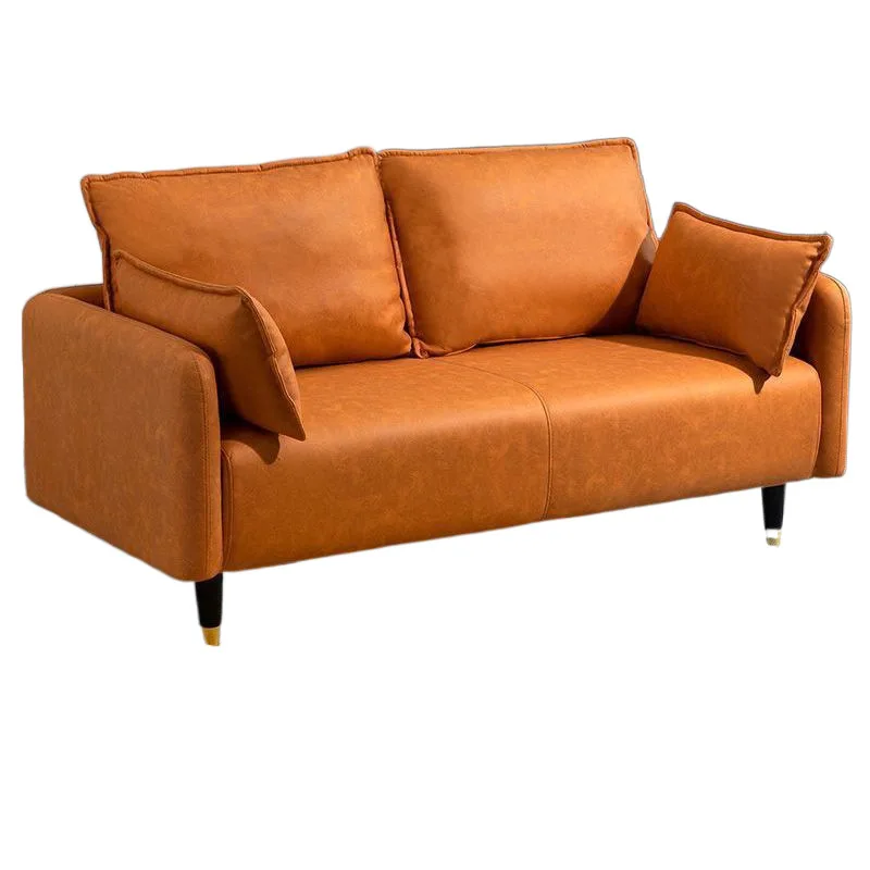 

Technology cloth small apartment sofa living room simple rental room