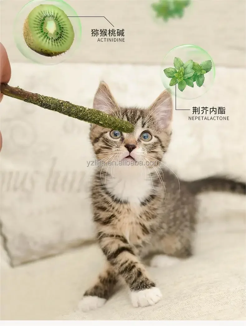 Thumbnail 3 - #19 Latest Pet Toys Updates