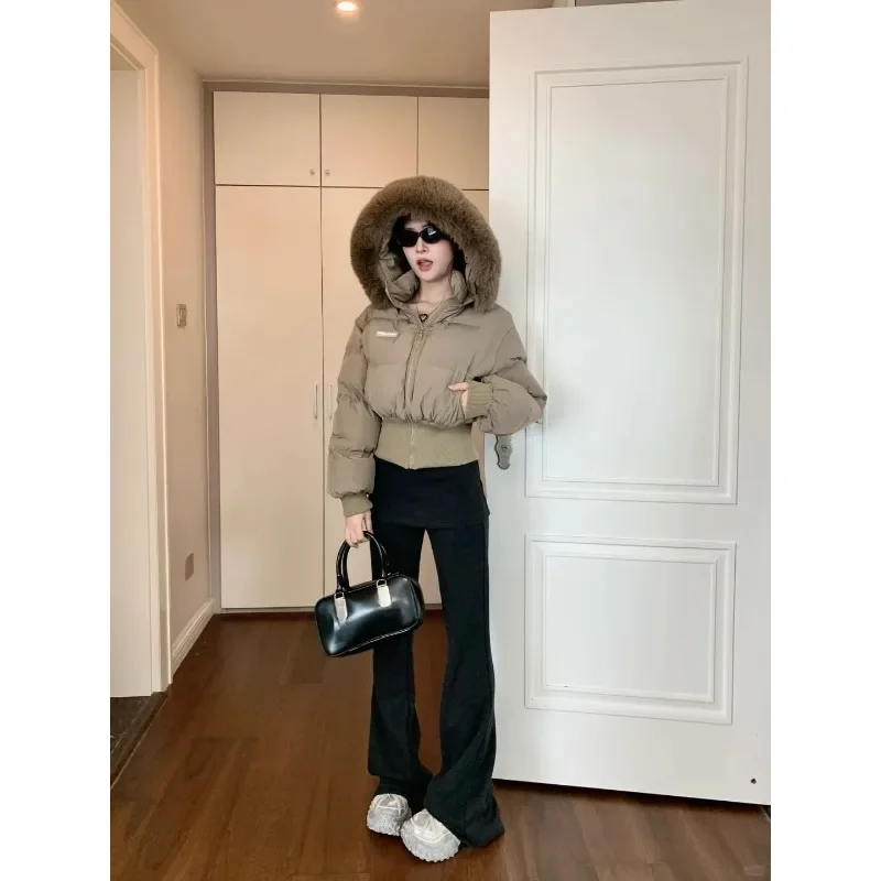 女性の防寒コート女性の秋と冬の新しい韓国版スパイスガールファーカラーフード付き暖かいパッド入りジャケット