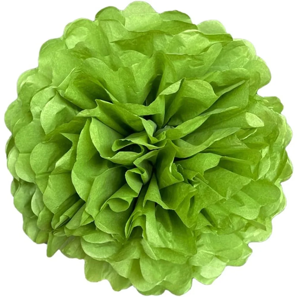 5 Pcs 6 8 10 12 inch Tissue Paper Pom Poms, Paper Flower Balls Hanging Fluffy Tissue Paper Flowers Decorations Paper Pompom