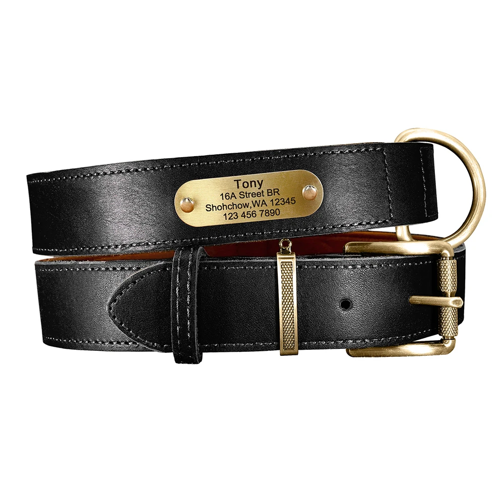 Personalisierte Hundehalsband-Leine aus echtem Leder, langlebige Hundehalsbänder, Gehbleine, Seil, frei mit Gravur für kleine, mittelgroße und große Hunde – Detail 12