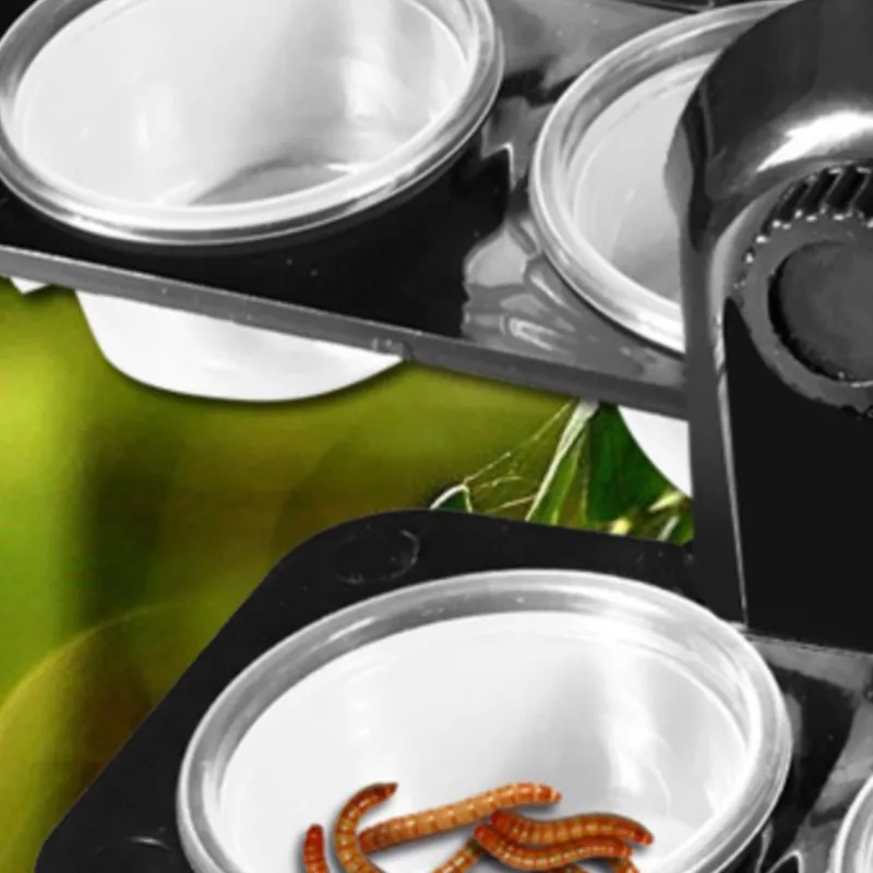 Резервуар-для-рептилий-насекомое-паук-муравьи-гнездо-змея-геккон-миска-для-кормления-водой-террариум-кормушки-для-разведения-коробка-принадлежности-для-рептилий