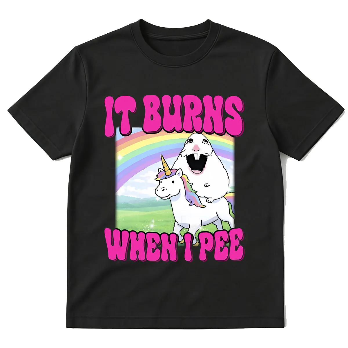T-shirt humoristique avec motif 'It Burns When I Pee Hamster' pour hommes et femmes, 100% coton, manches courtes, surdimensionné, Streetwear