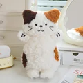 calico cat