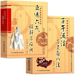 Ensemble complet de 2 volumes, théorie de base de la médecine traditionnelle chinoise, WagStudy de la médecine chinoise, nettoyage essentiel