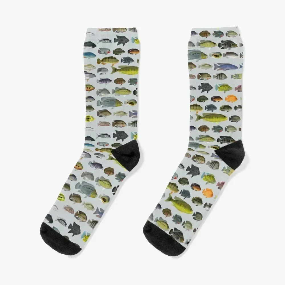 

Cichlid Group Socks funny gift Run winter thermal Sports Socks Man Women's