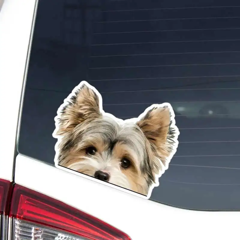 Biewer Yorkshire Terrier pegatina de coche mirando Yorkshire cabeza de perro vinilo impermeable extraíble ventana exterior parachoques portátil Y176