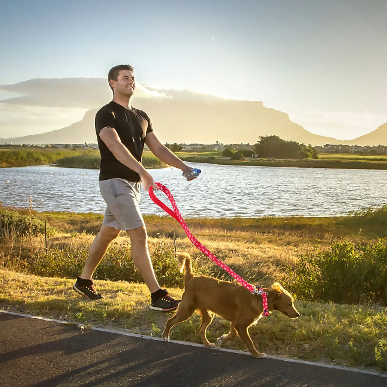 

1Set Christmas Pattern Pet Leash Collar Set Adjustable Xmas Dog Collars Leads Durable Safe Skin Friendly Pet Leash Collar Set