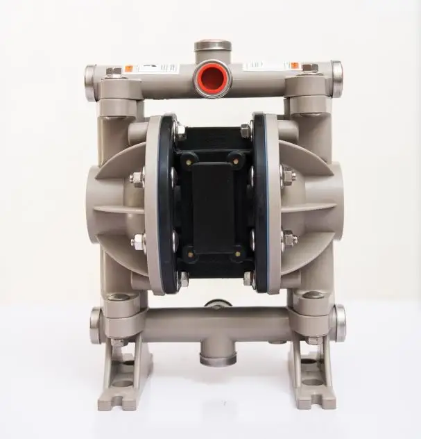 Chinese Twin Double Diaphragm Pump For Painting Fluid