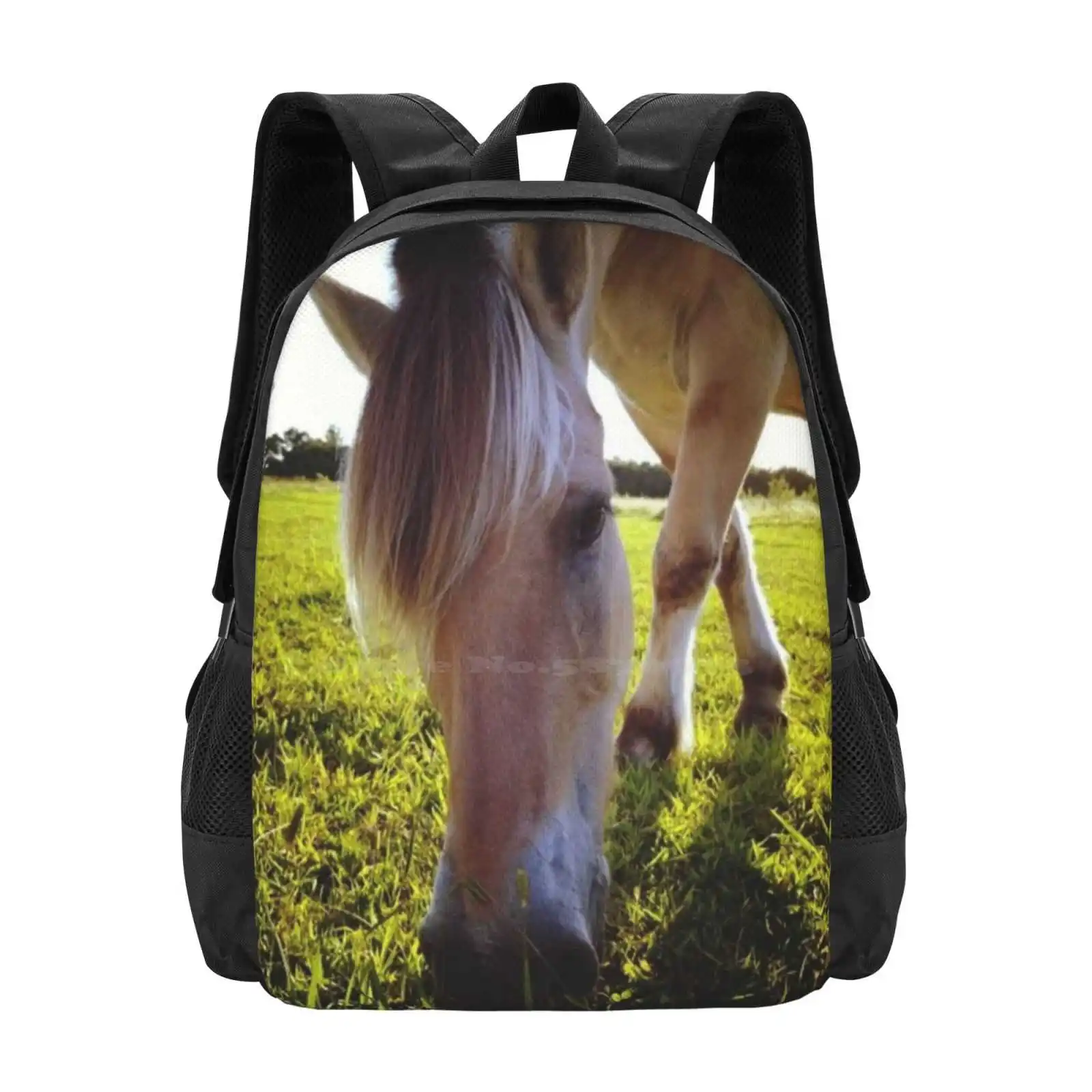 

Лошадь выпаса, Лидер продаж, рюкзак, модные сумки, фиорд, лошадь, выпасание лошадей, любовник лошадей, милое животное, милая лошадь, природа, настоящая лошадь