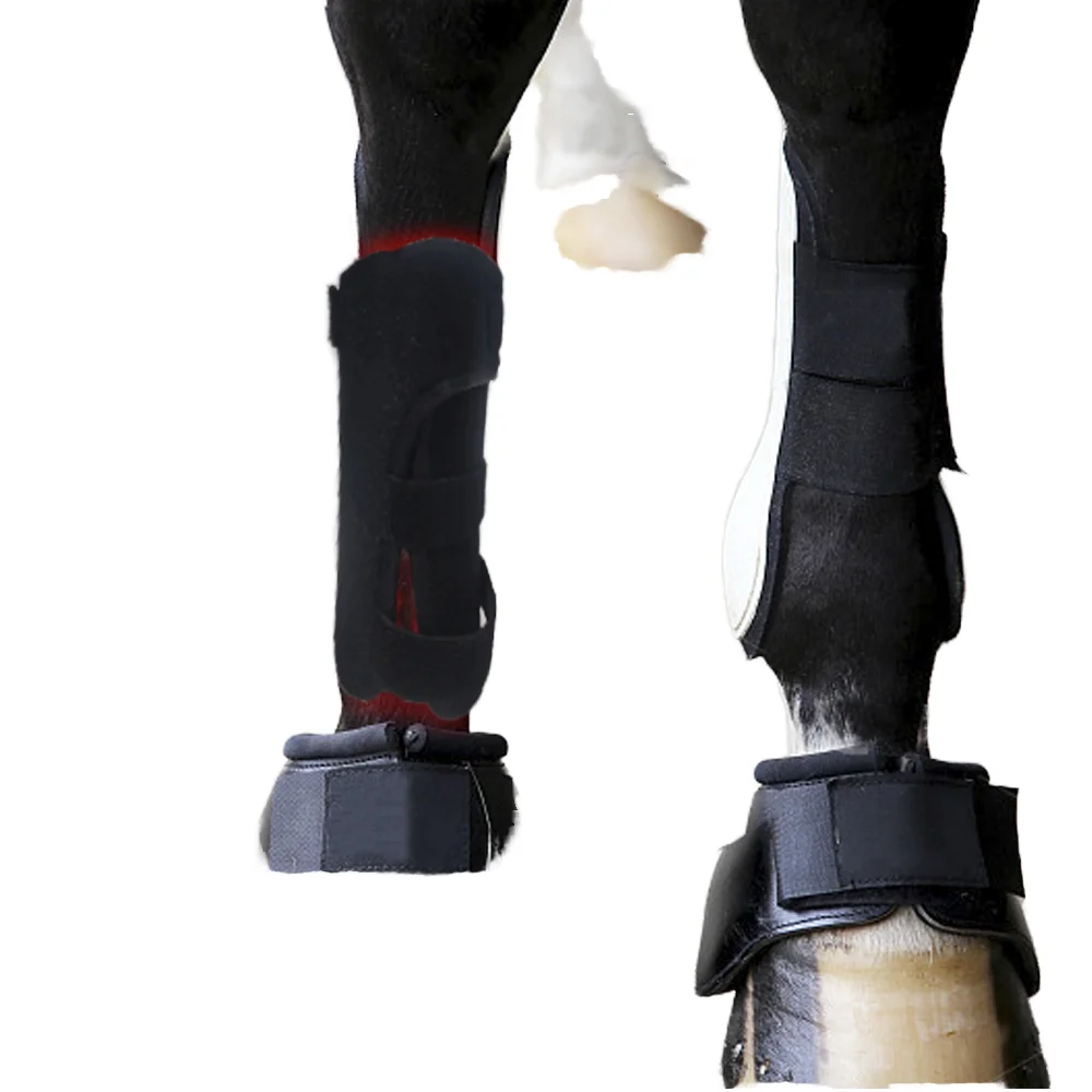 

ODM OEM Horse Leg Joint Pain Relief Red Light Therapy Belt/pad/wraps Equine Hoof Health Pet Care with 850nm Wavelength