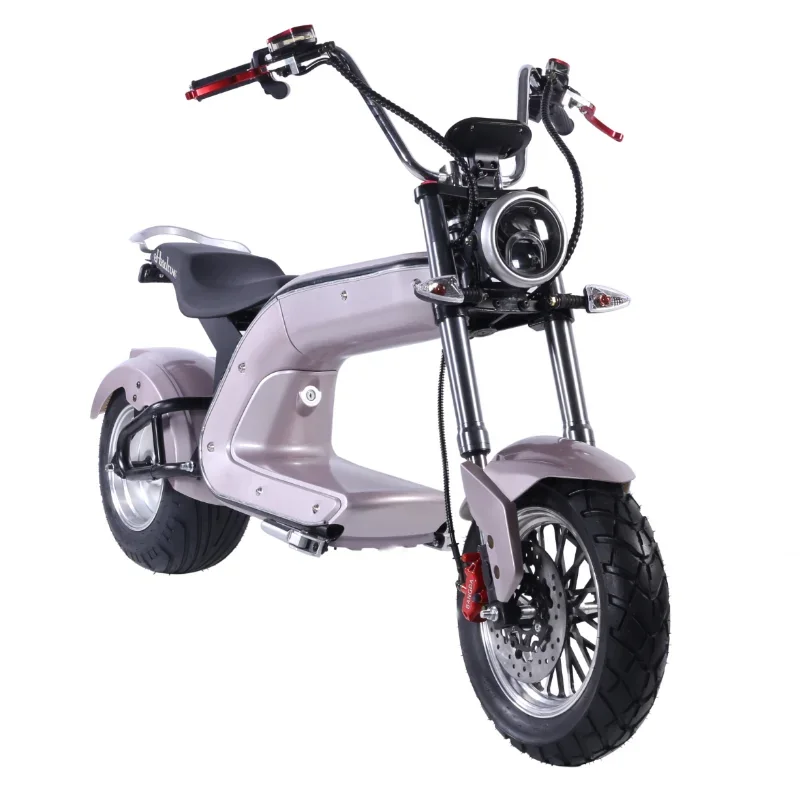 2022 Fastest 2000w 2500w EHoodax Moped Adult Classic High Speed Long Range E Bike 60v 12ah 20ah