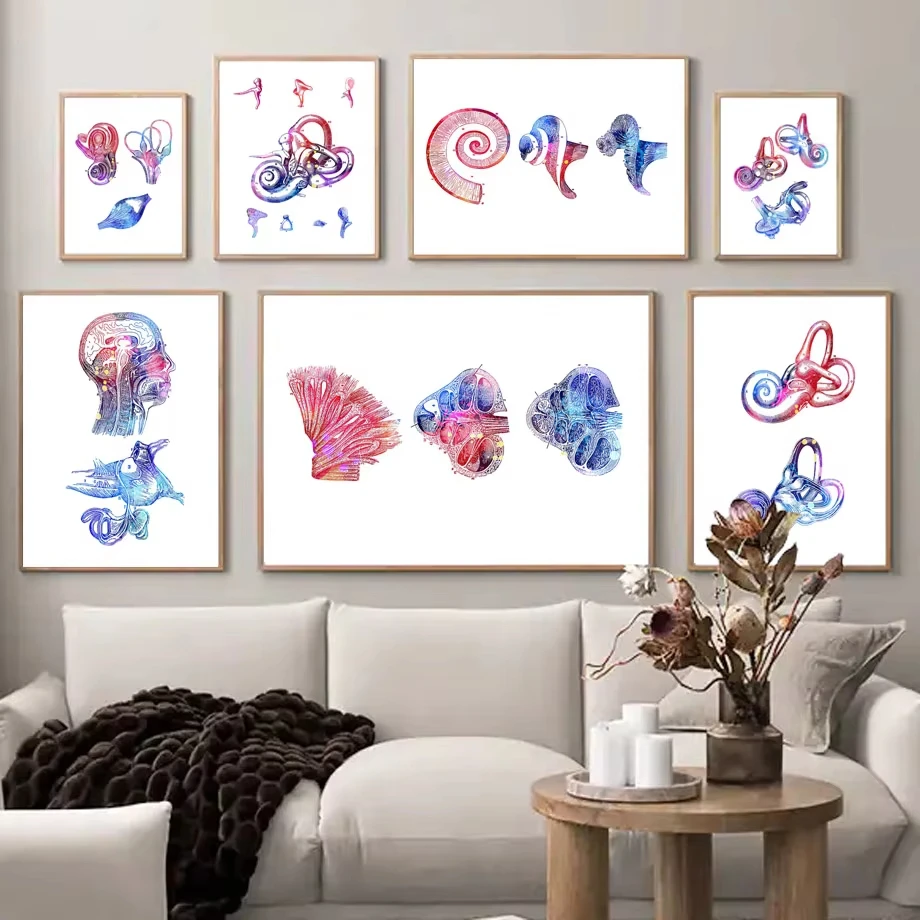 Audiology Ear Anatomy Cochlea Auditory Wall Art Canvas Painting Nordic Posters And Prints Wall Pictures For Medical Clinic Decor