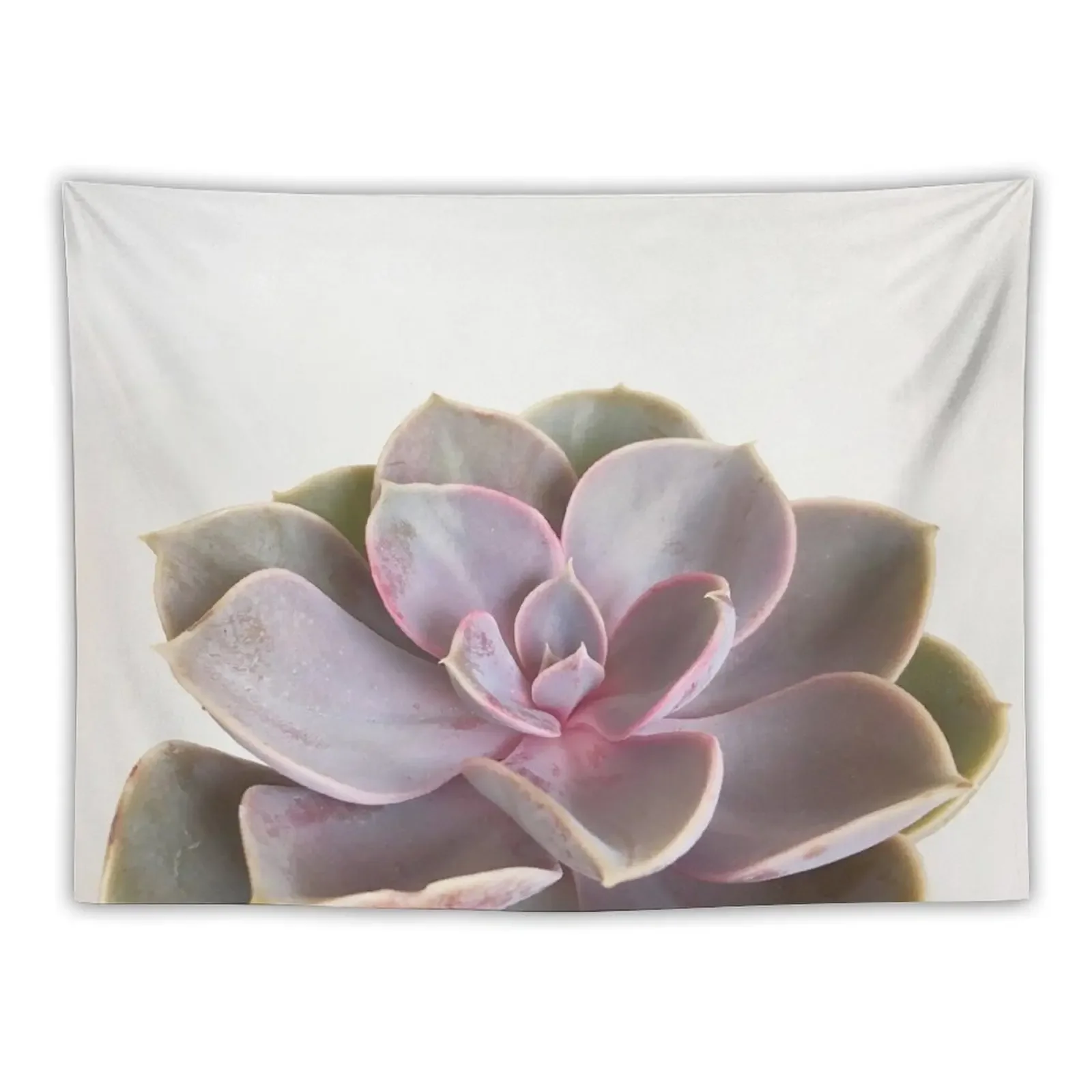 

Purple Succulent Tapestry Aesthetic Home Decor Aesthetic Room Decors Tapestry