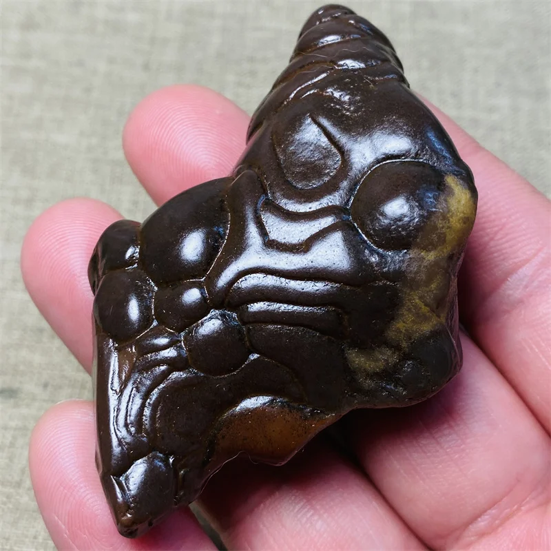 Spécimen minéral rare de motif de fourmi formé par ton naturel pour la décoration de la maison