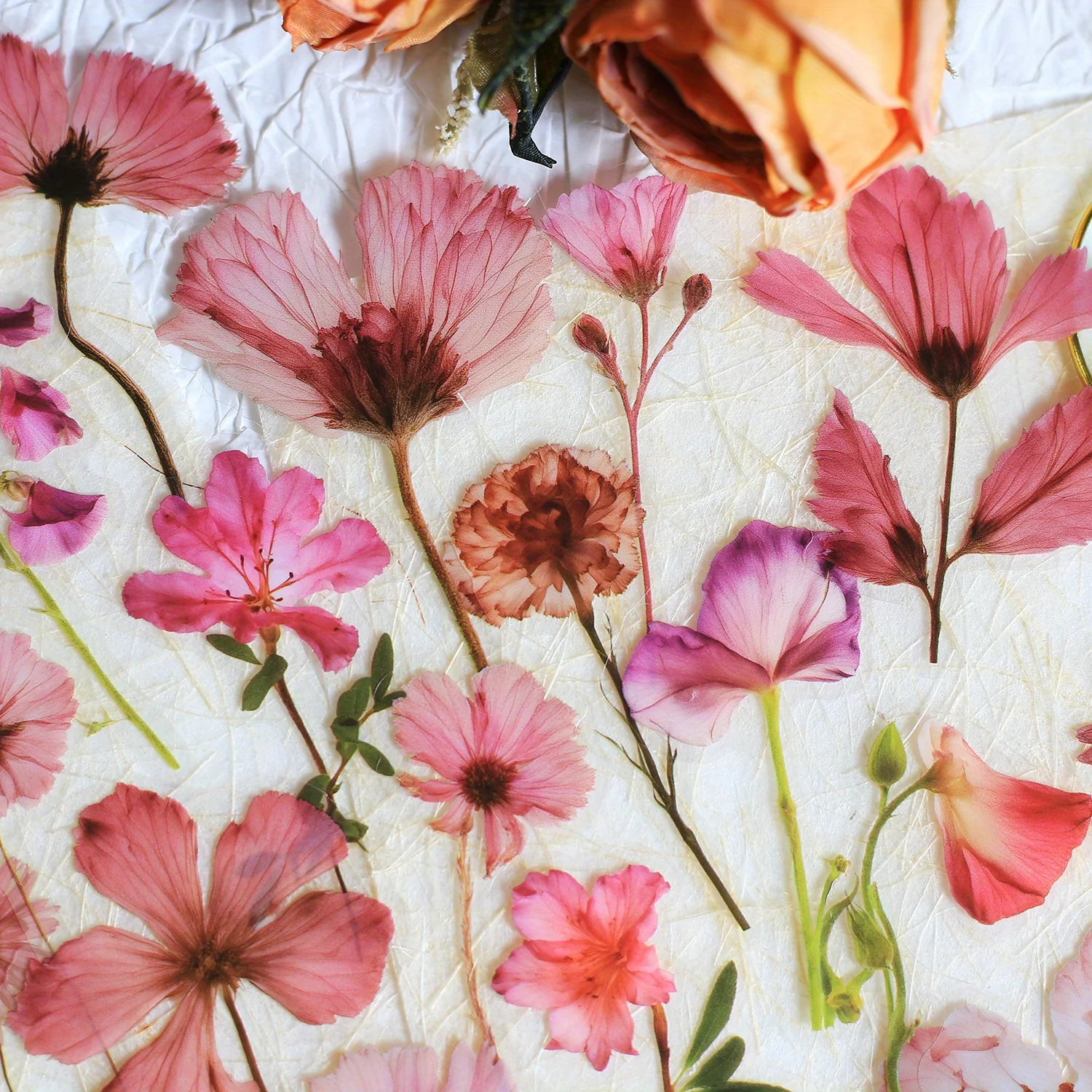 Journamm 50Pcs Transparent Decoration Flower Stickers for Scrapbooking PET Floral Stickers for Journaling Scrapbooking