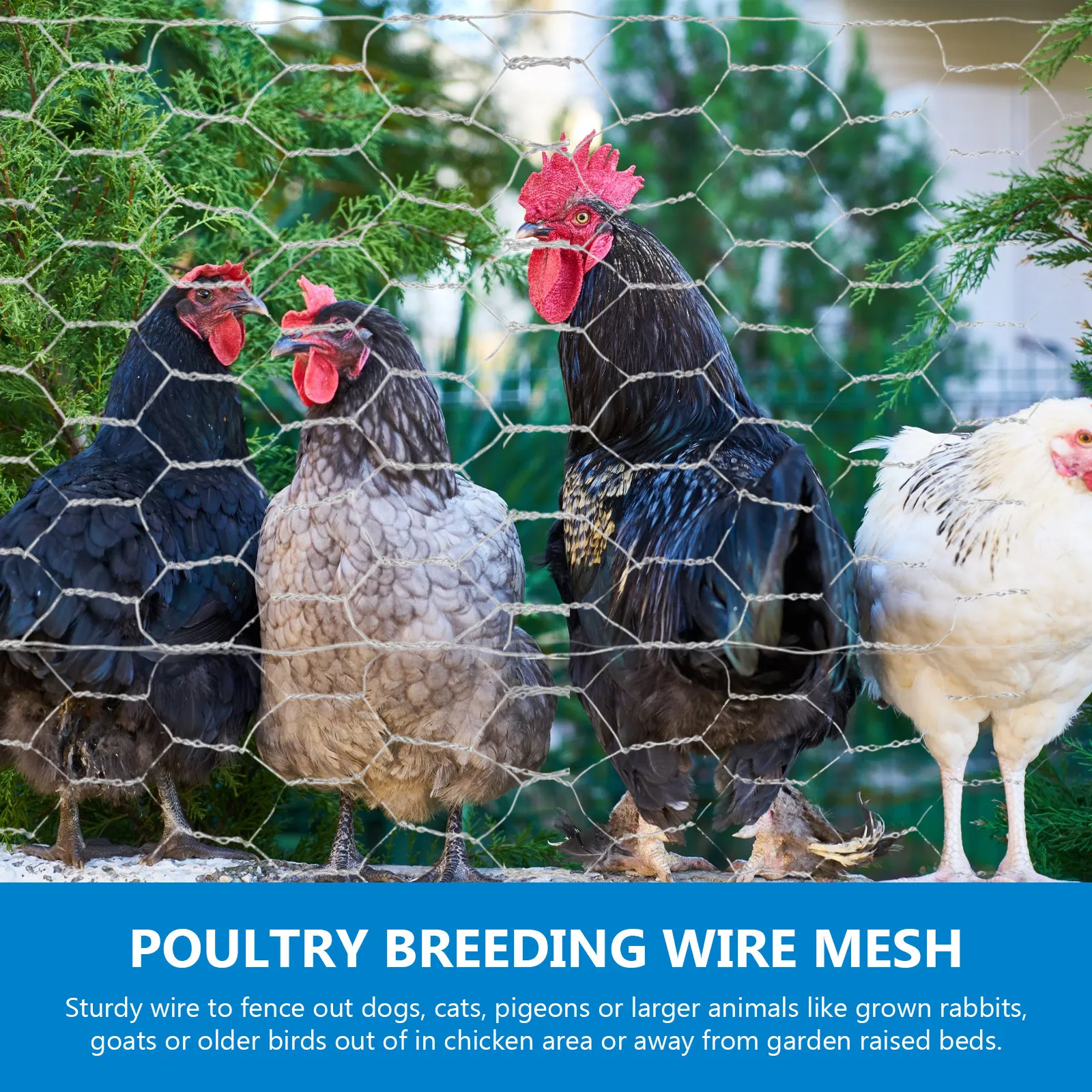 1Pcs Premium Galvanized Iron Wire Mesh Hexagonal Chicken Wire Net for Poultry Farming Livestock Enclosure Garden Raised Beds