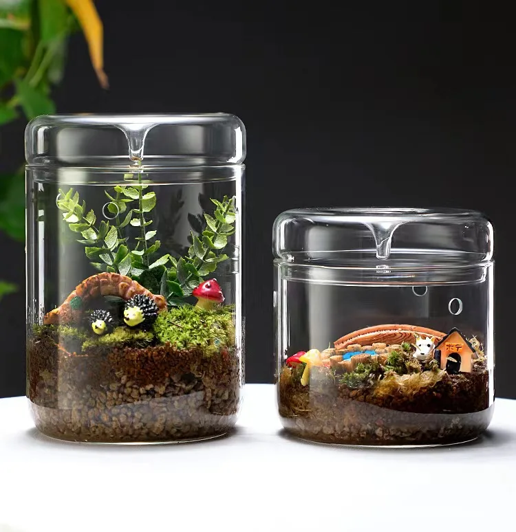 

Landscape Moss Vase Indoor Planting Moss Plant Pots Eco Bottle Micro Hole Landscape Glass Cover Perforated Moss Greenhouse Cup