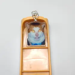 Cat With Rolled Eyes Wet Cat Meme Star Cat Meme Singing Cat Monday Left Me Broken monday cat mem, Car Enthusiast Keychain