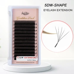 4D/5D/6D W Shape Eyelash Extension Super Soft Matte Black Lashes Premade Fans Russian Volume Mink Natural Lash Wholesale
