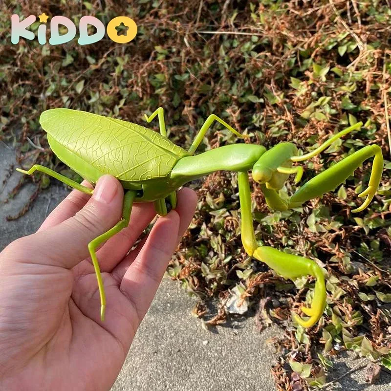 

Infrared Remote Control Cockroach Simulation Animal Creepy Spider Bug Prank Fun RC Kids Toy Gift High Quality Drop Shipping