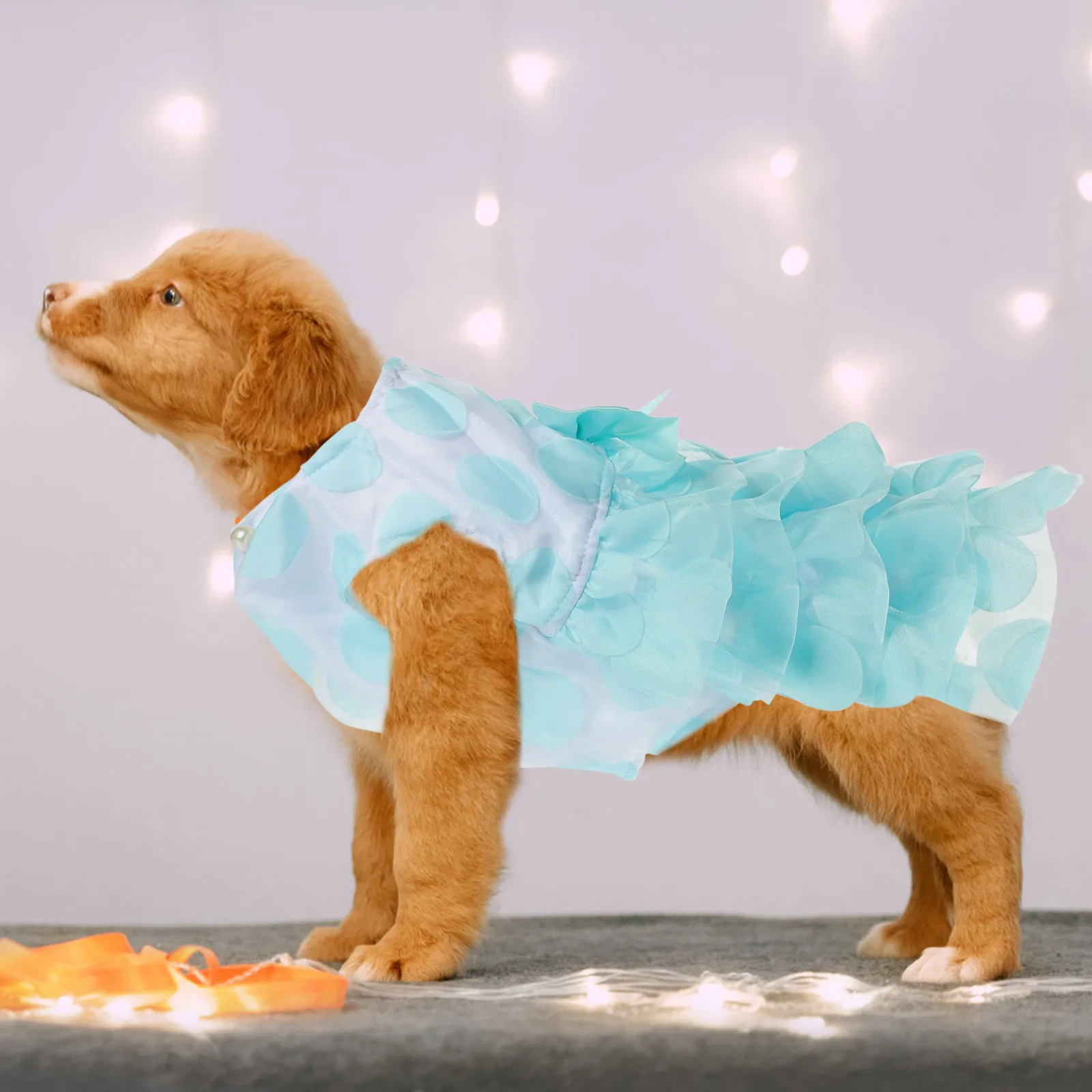 

Pet Dog Tutu Dress Acrylic Fibers Lace Design Fashionable Charm Small Multilayer Clothes Costumes Pet Clothes Dog Skirt