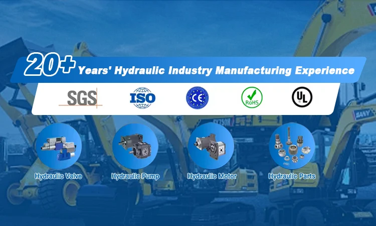 Bokin 3WE6 3WE10 4WE6 4WE10 صمام التحكم في التدفق الكهرومغناطيسي 230 فولت مراقبة موضع البكرة السلامة 1/4 منفذ ضمان لمدة سنة واحدة