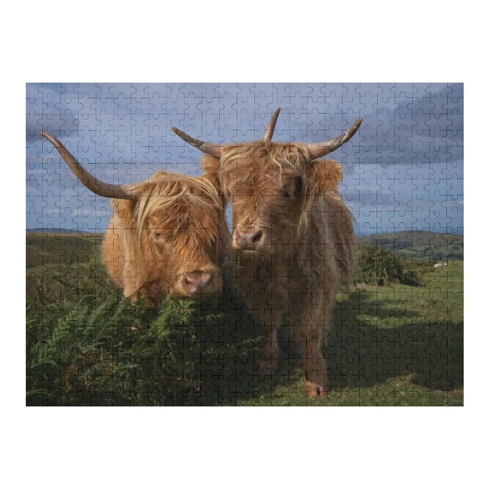 

Highland Cows Jigsaw Puzzle Personalized Toy Customizable Gift Wooden Compositions For Children Puzzle