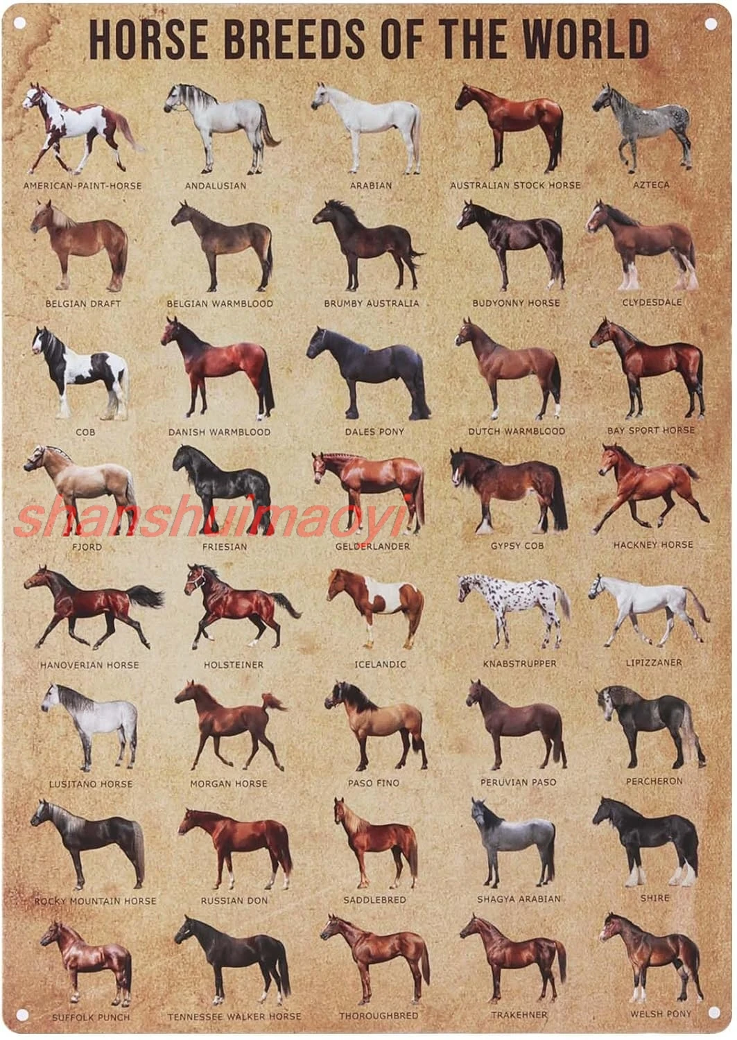 Harrison Howard Metal Tin 40 Horse Breeds of the World Metal Sign Poster for Stable Home Yard Vintage Educational Wall Art  sign