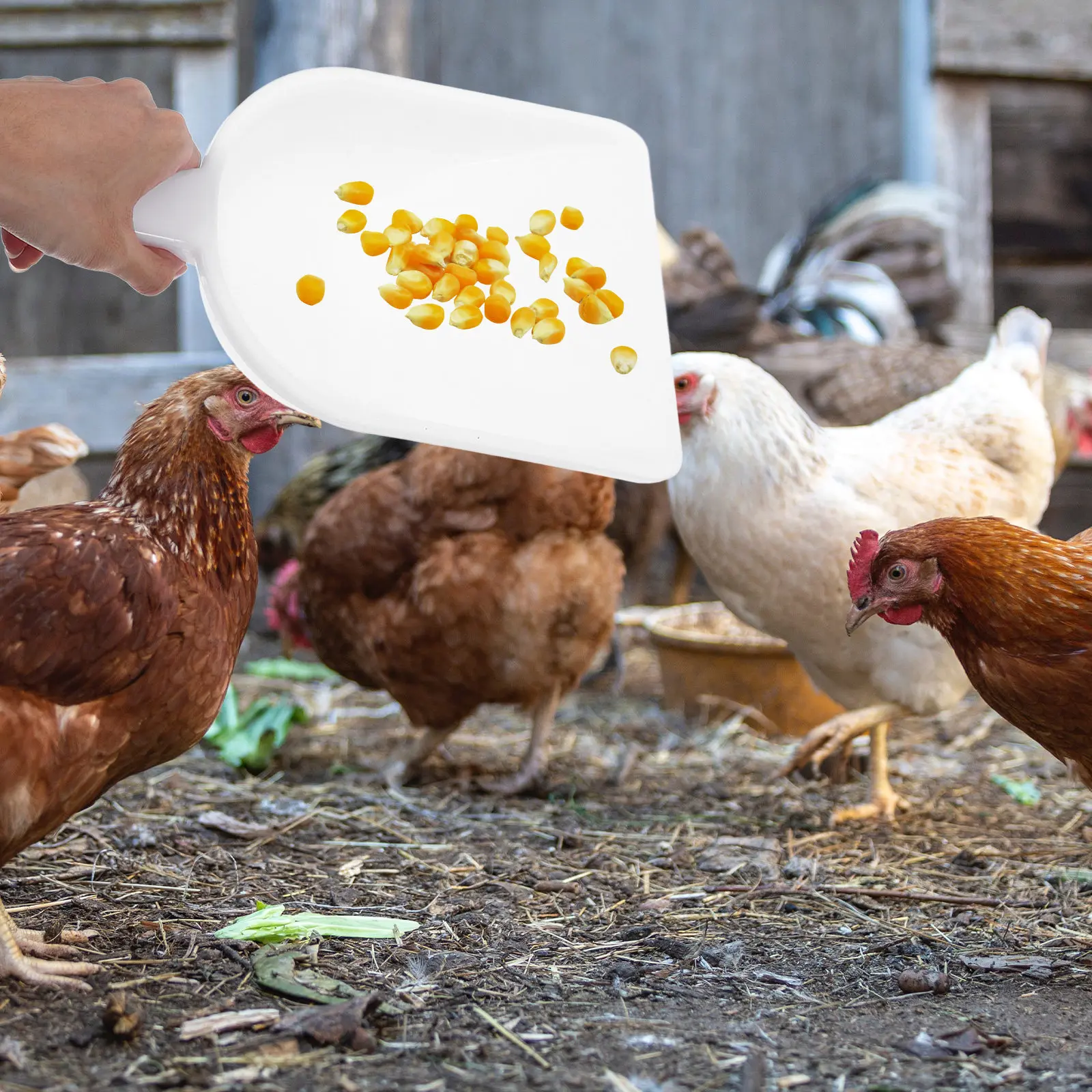 

Heavy Duty Plastic Feeding Shovel Large Size for Livestock Poultry Farm Garden Scoop Tool Household Utility Food Shovel