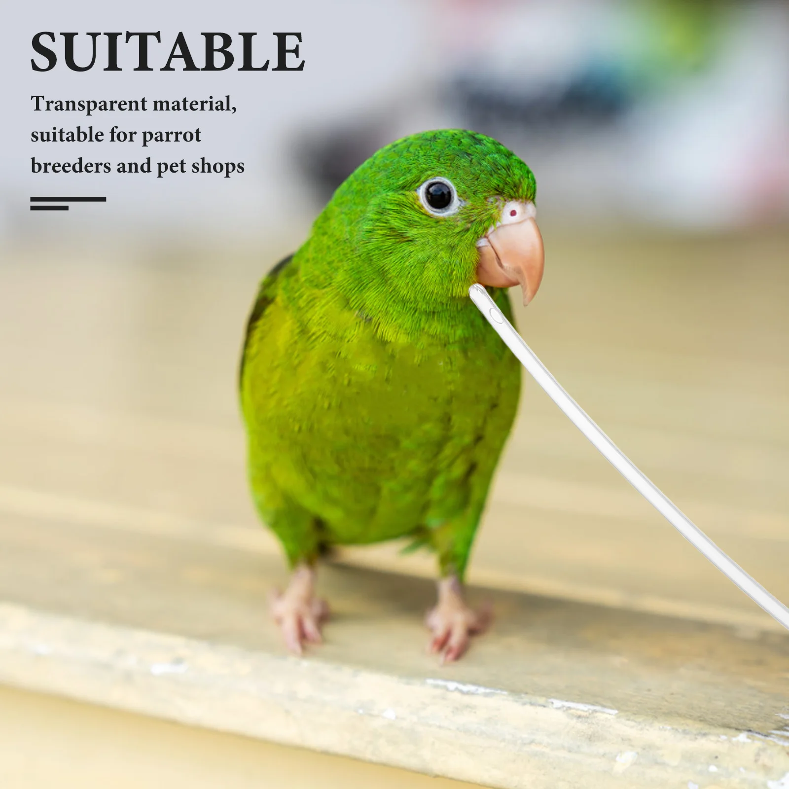 

10pcs Tube Clear Replacement Bird Feeder Feeder Tubes Bird Feed Tubes for Baby Safe Material