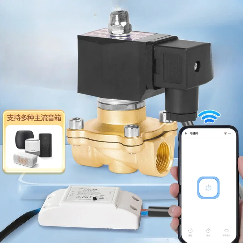 I solenoid valve water valve 220V mobile intelligent wireless remote control watering electronic pipeline switch copper valve