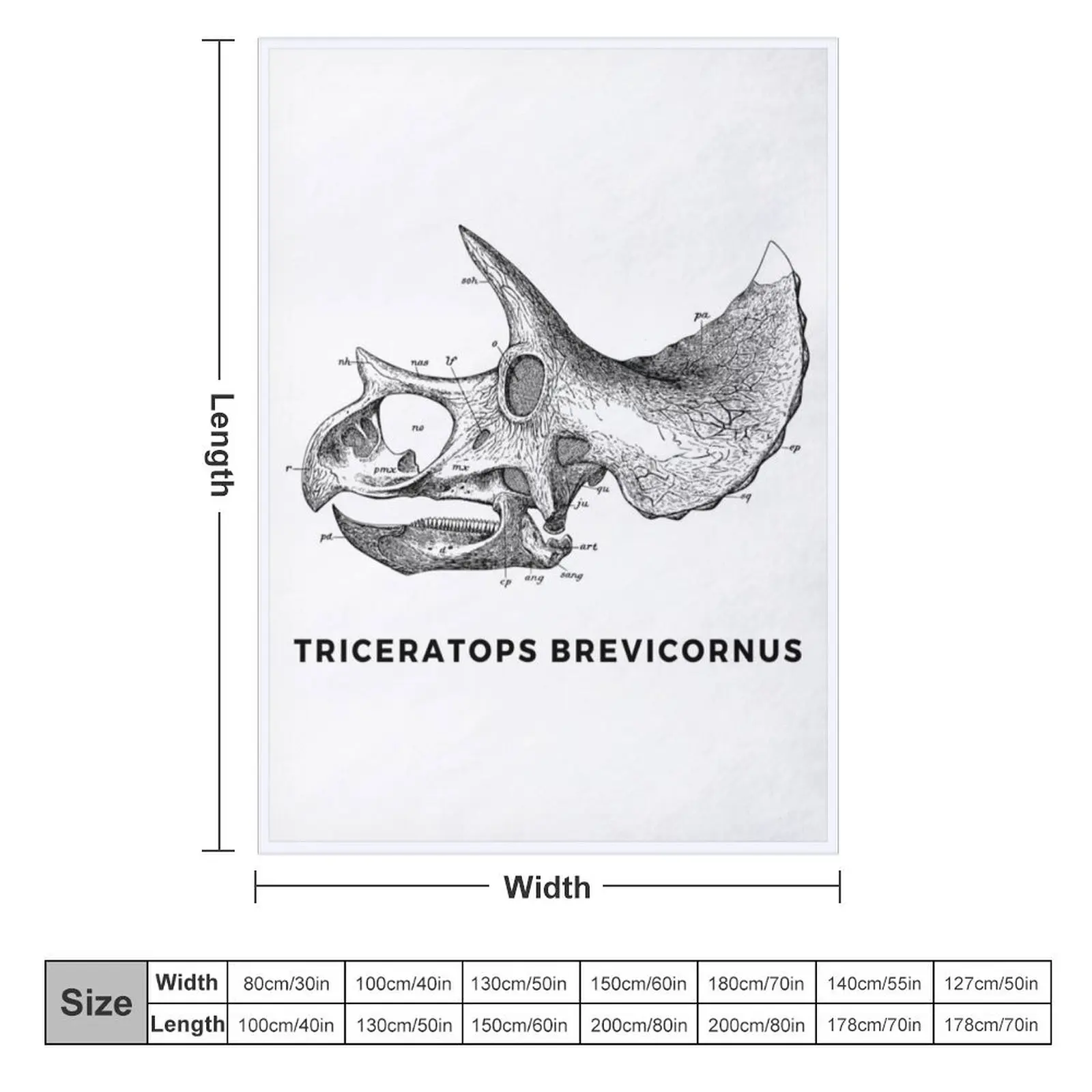 Triceratops Brevicornus Skull - Late Cretaceous Period Ceratopsid Throw Blanket anime Soft Soft Big Hairys Blankets