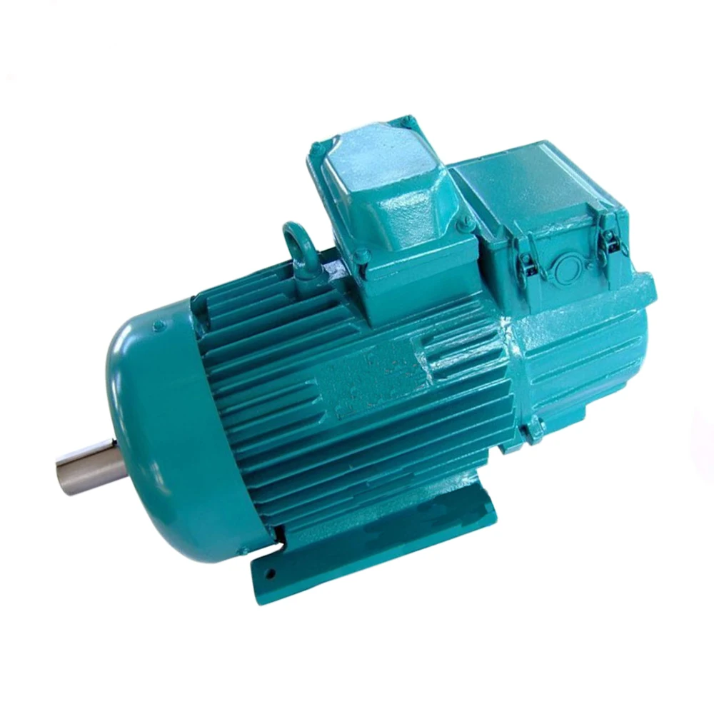 

For Yzr160l-6 Wound Rotor Motor