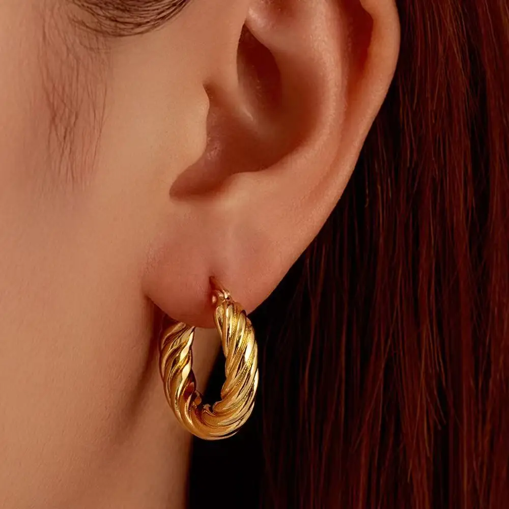 Cross-border Direct Supply Stainless Steel Twisted Hoop Earrings for Women, 18K Gold Plated Round Ear Rings, Light Luxury Trendy