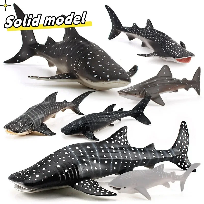 Simulatie Zeedieren Walvishaai Model Actiefiguren Oceaan Aquarium Miniatuur Beeldjes Educatief Speelgoed Kinderen Volwassen Geschenken