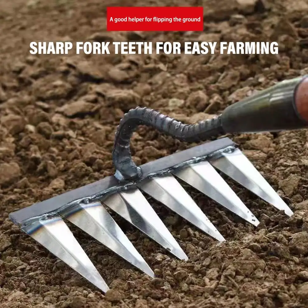 Imagem -04 - Ferramenta Agrícola Weeding Hoe Weeding Scarifier Artefato Agricultural Nail Harrow Ferramentas de Jardinagem de Metal Dente