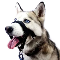 Pet Muzzle Dog Muzzle Adjustable Anti-biting Nose Hair Mask Pet Traction Set Dog Muzzle Training Belt