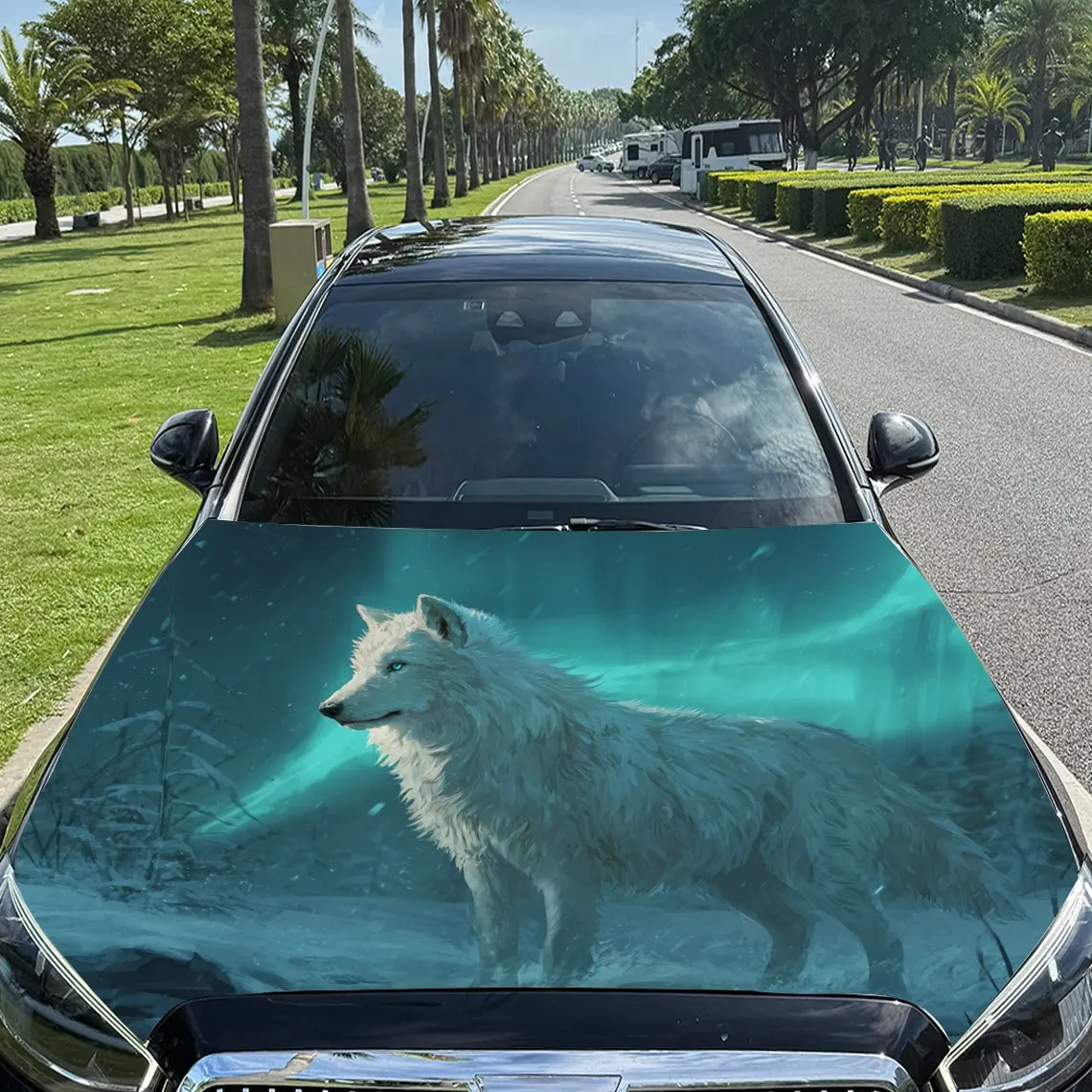 Mystical Aurora Icy… - image