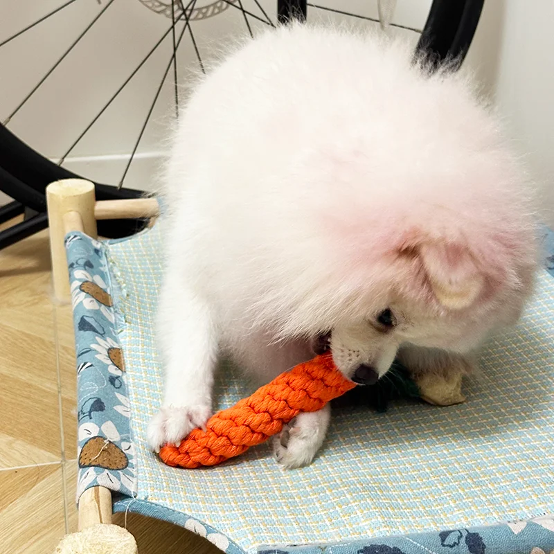 Thumbnail 4 - #7 Best Puppy Chew Toys to Buy In 2026