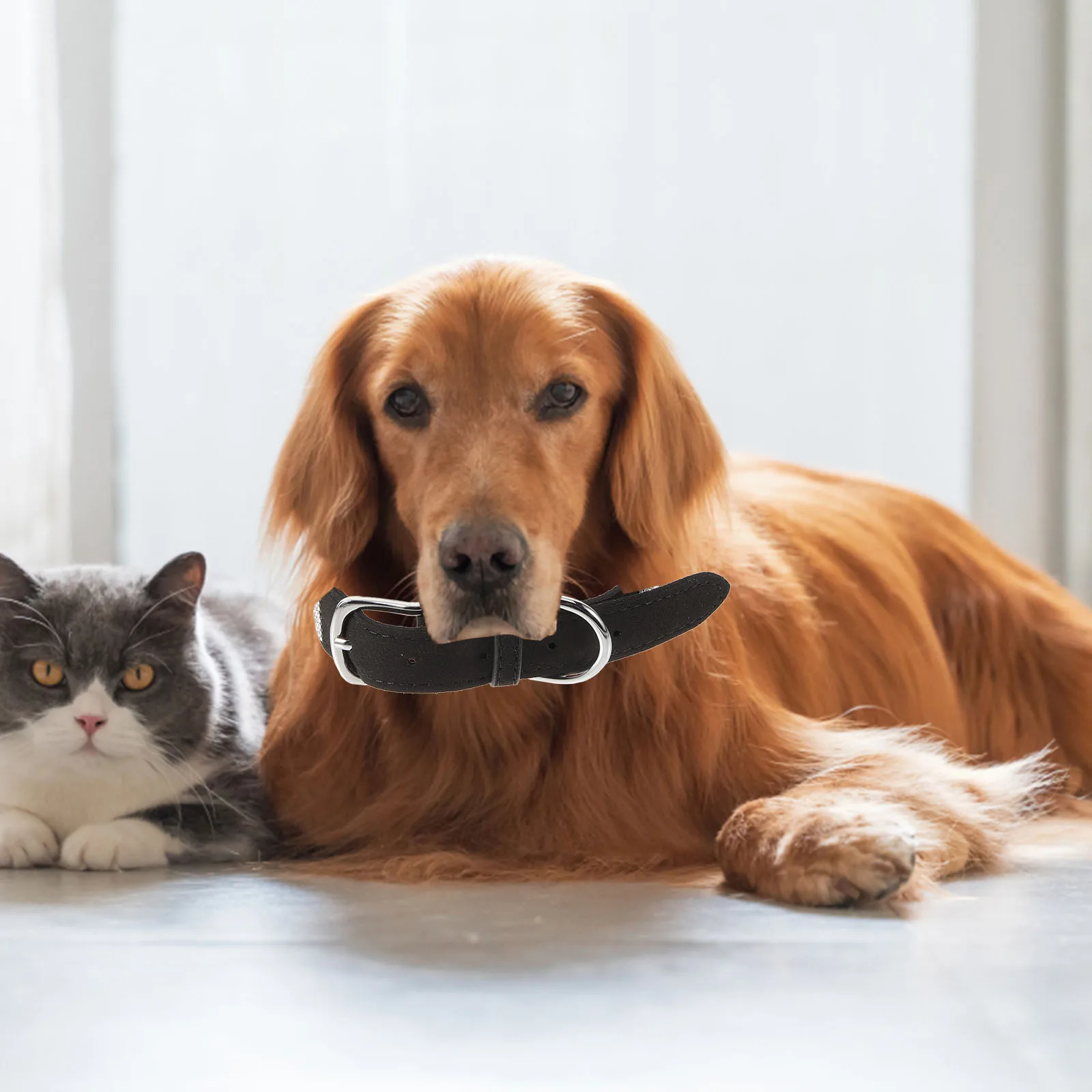 

Pet Dog Collar Cat Kitten Bow Tie Black Summer Stylish Fashion Photo Prop Pet Neck Chain Dog Felt Collar Durable Cloth
