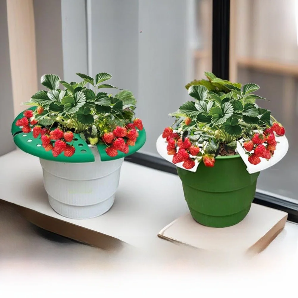 8Pack Strawberry Plant Support Strawberry Holder Strawberrys Supports For Garden Rack Fruit Support Plant Flower Climbing